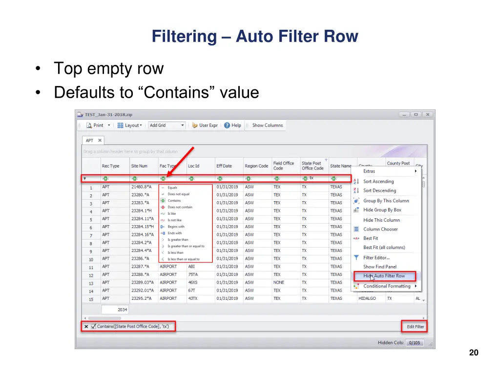 filtering auto filter row