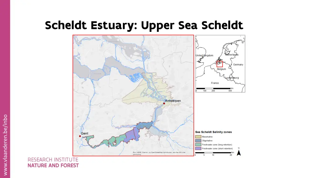 scheldt estuary upper sea scheldt