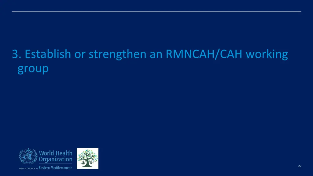 3 establish or strengthen an rmncah cah working