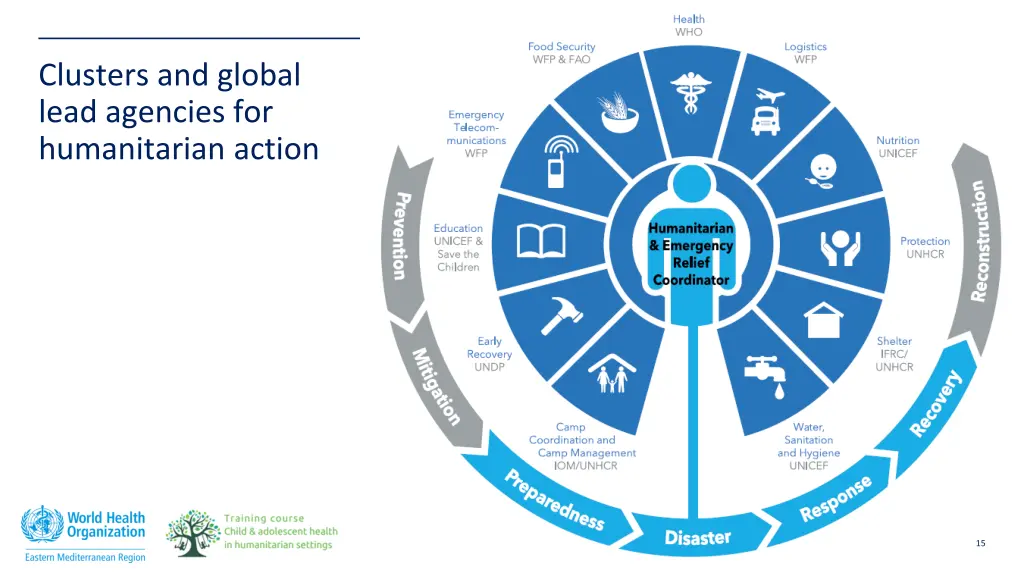 clusters and global lead agencies