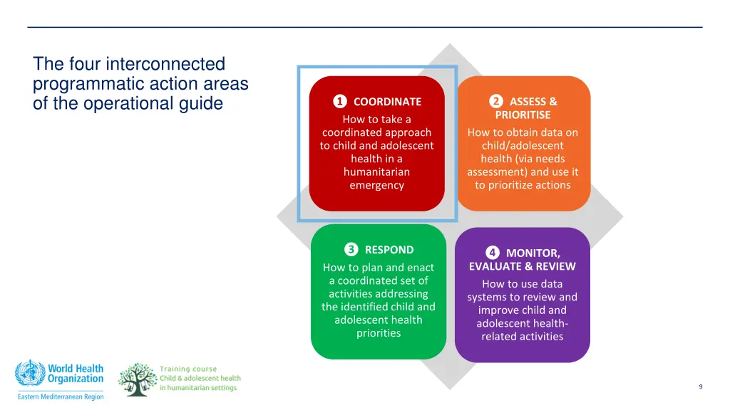 the four interconnected programmatic action areas