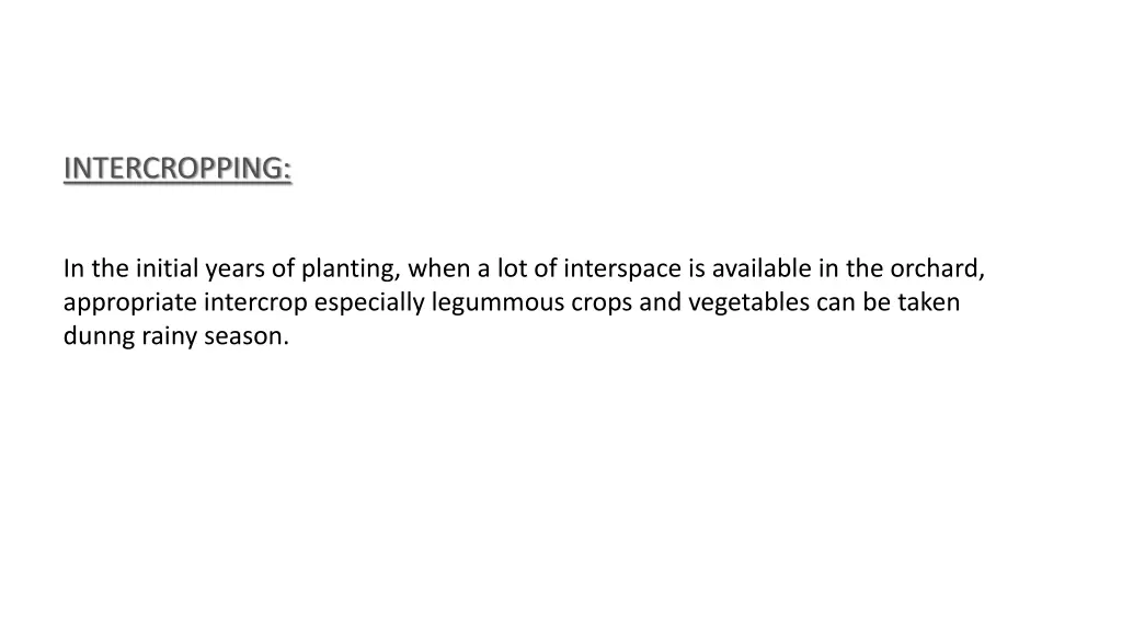 intercropping