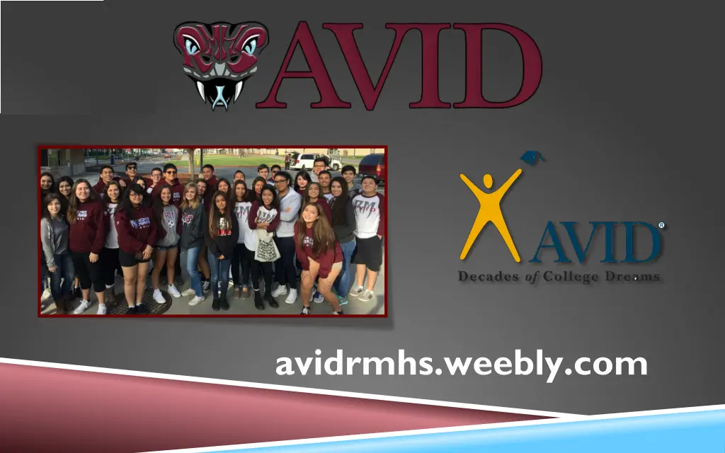 avidrmhs weebly com