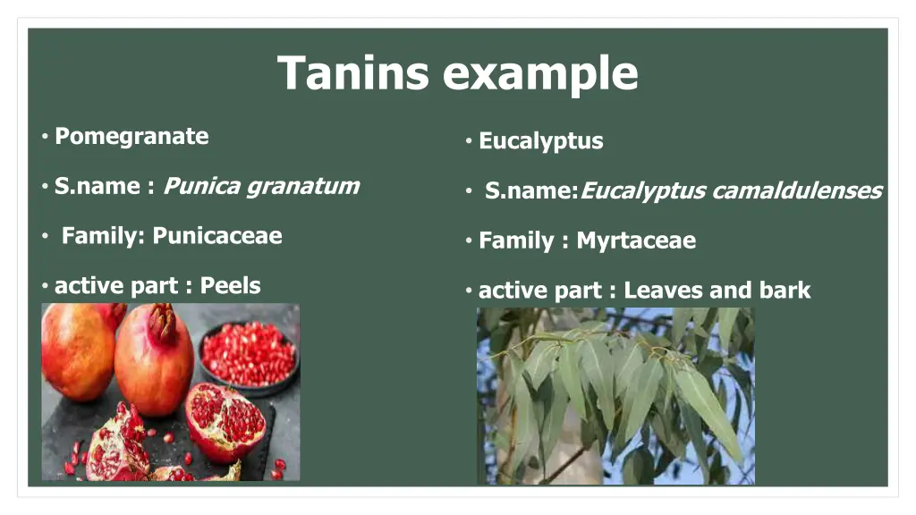 tanins example