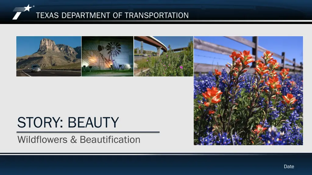 story beauty wildflowers beautification