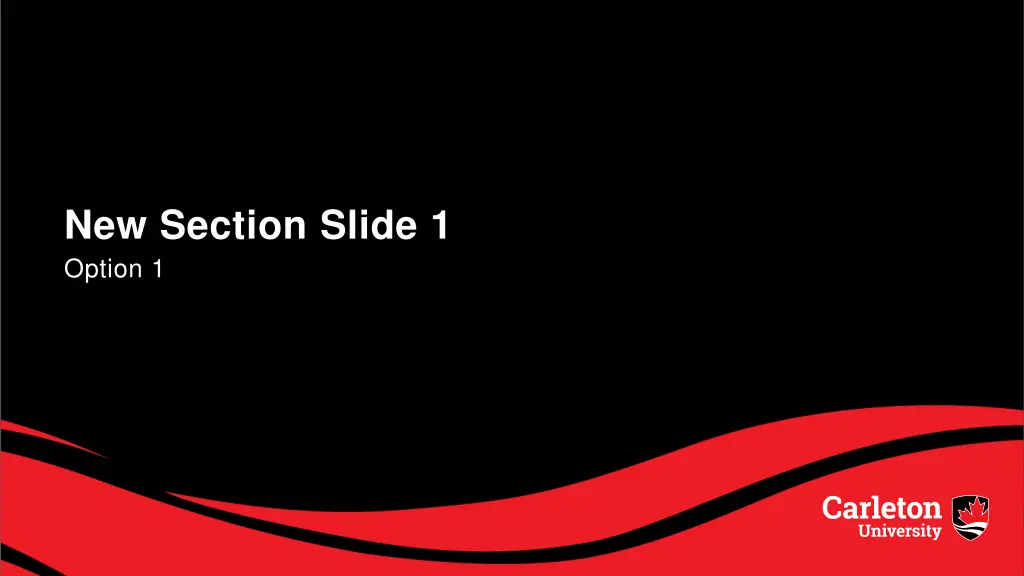 new section slide 1 option 1