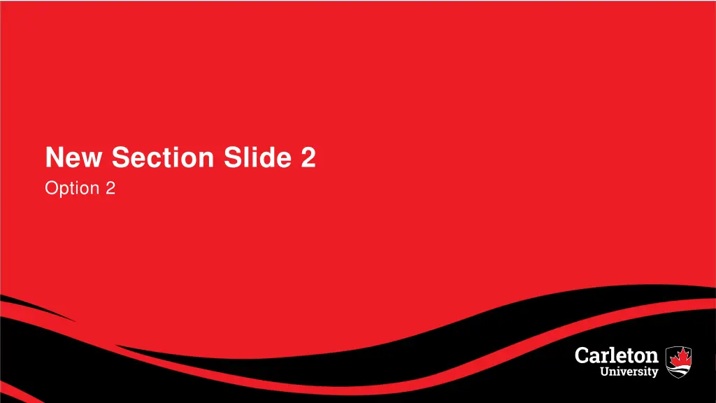 new section slide 2 option 2