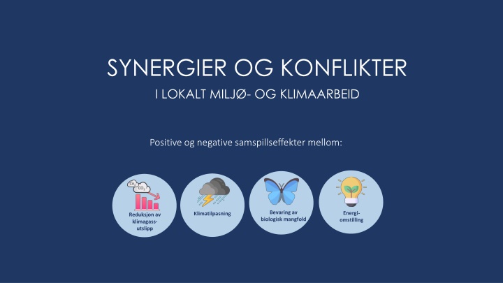 synergier og konflikter i lokalt milj