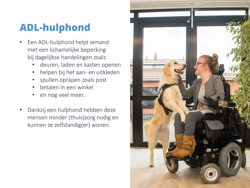 adl hulphond