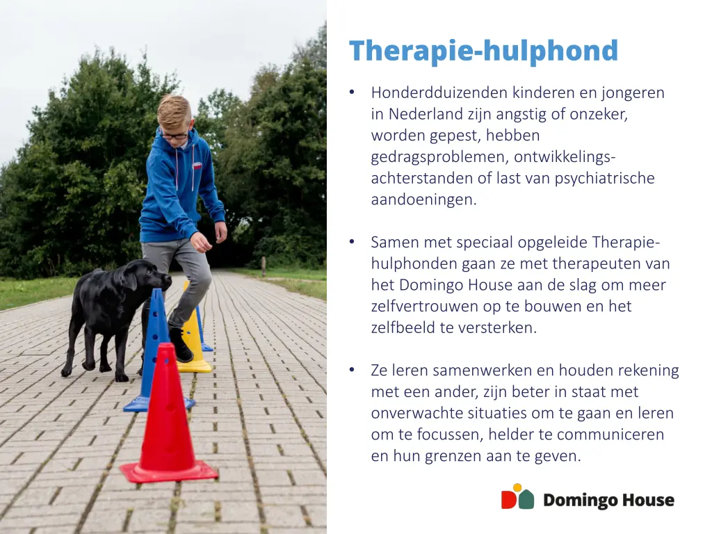 therapie hulphond