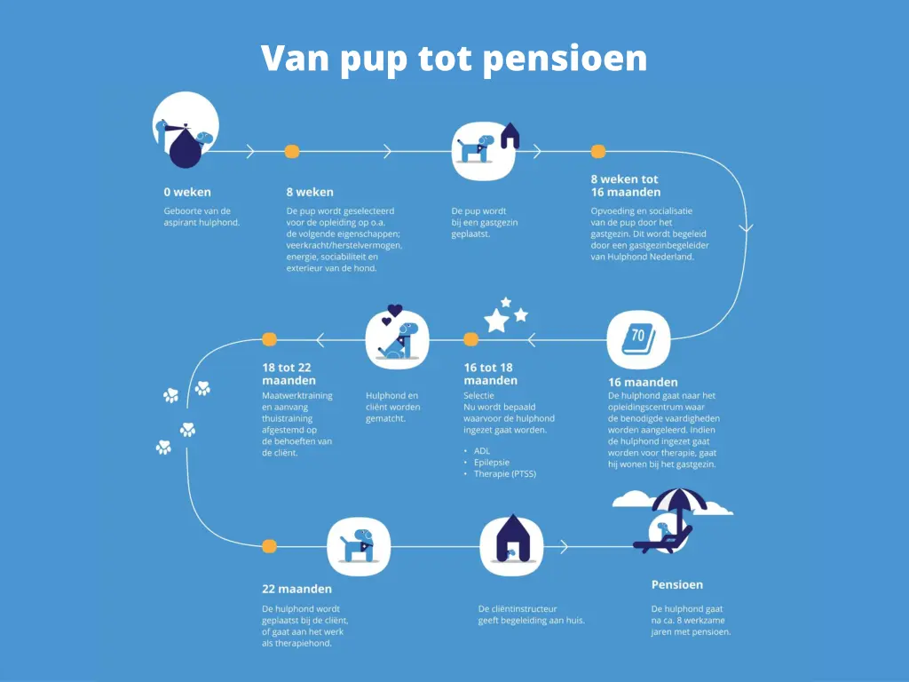 van pup tot pensioen