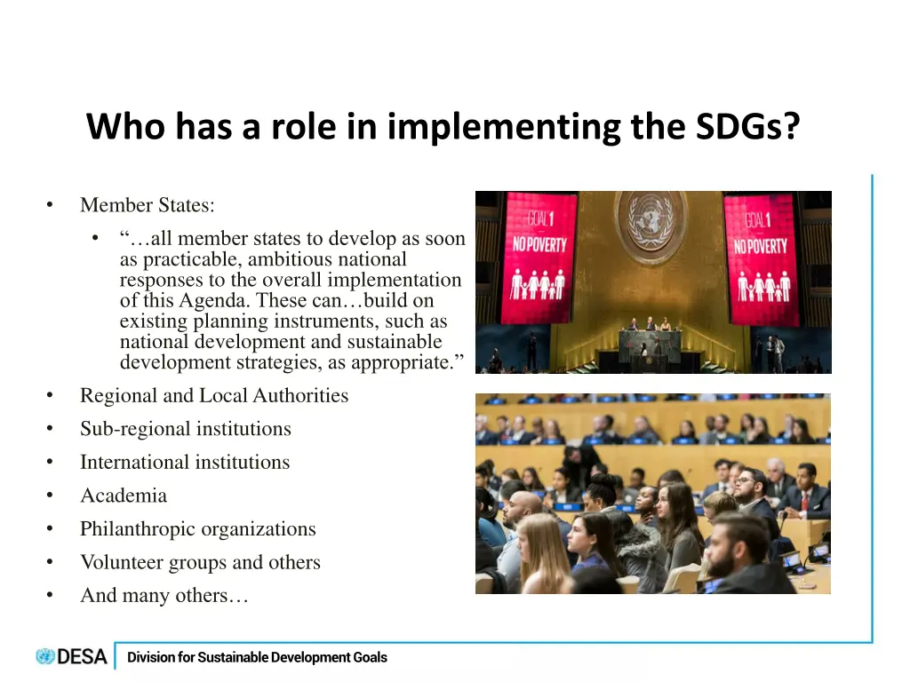 who has a role in implementing the sdgs