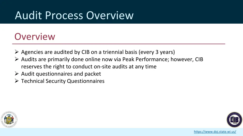 audit process overview