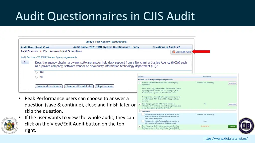 audit questionnaires in cjis audit