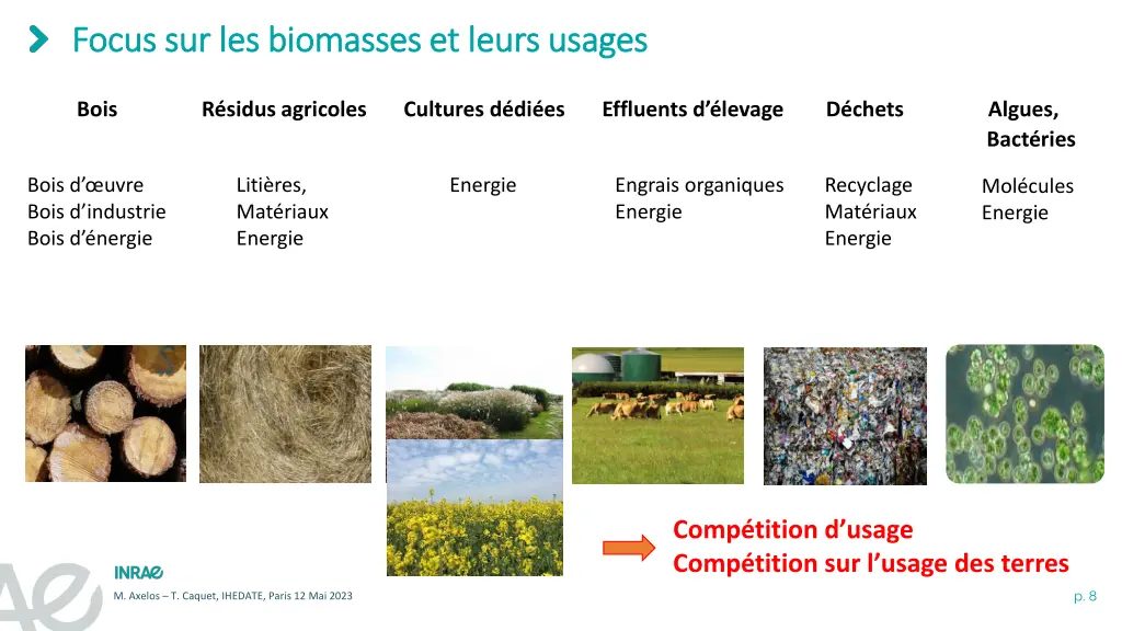 focus sur les biomasses et leurs usages focus