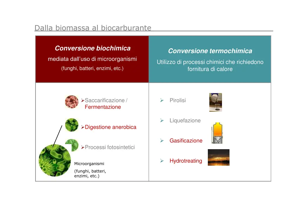 dalla biomassa al biocarburante