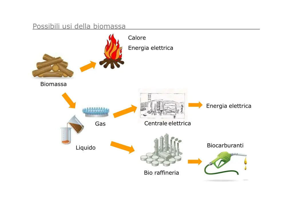 possibili usi della biomassa