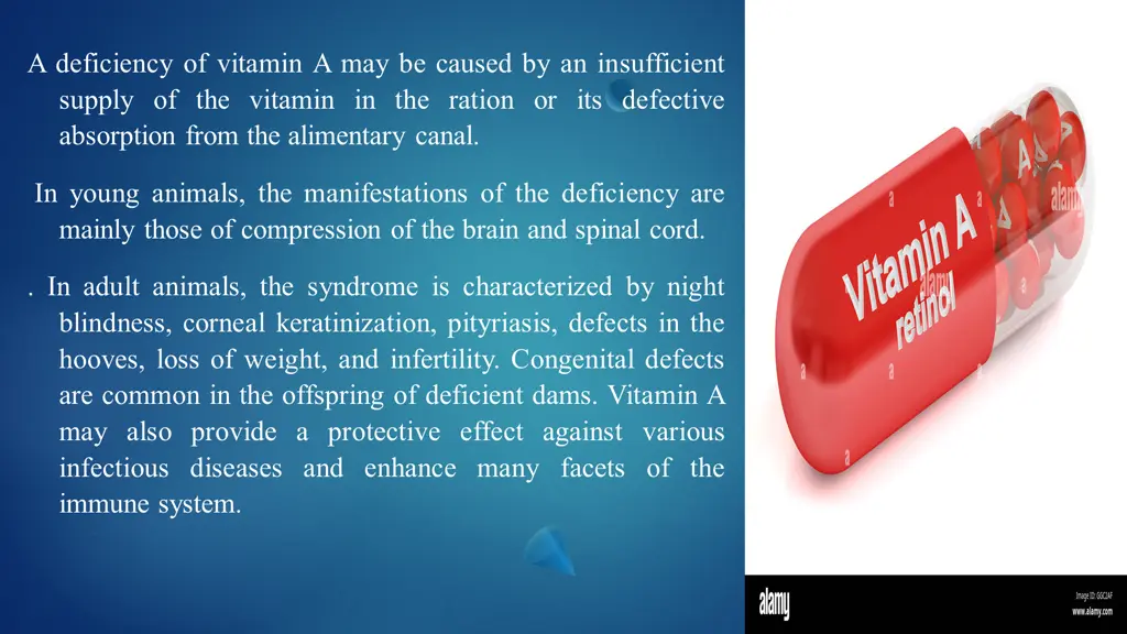 a deficiency of vitamin a may be caused