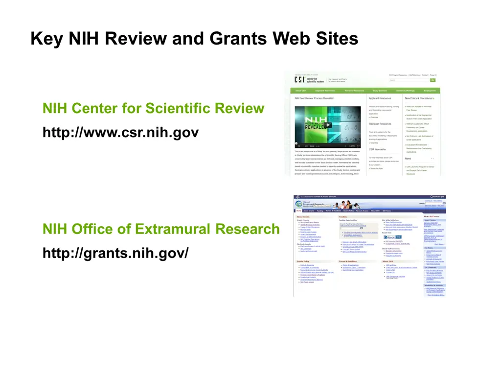 key nih review and grants web sites