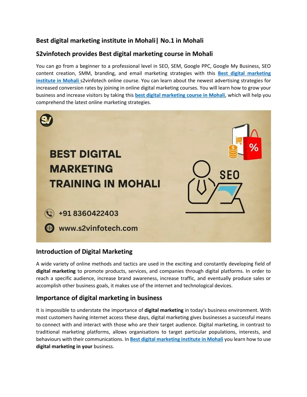 best digital marketing institute in mohali