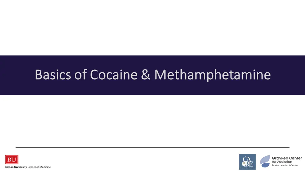 basics of cocaine methamphetamine basics