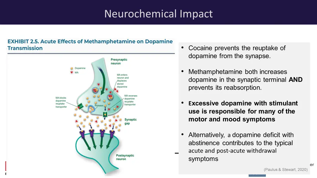 neurochemical impact