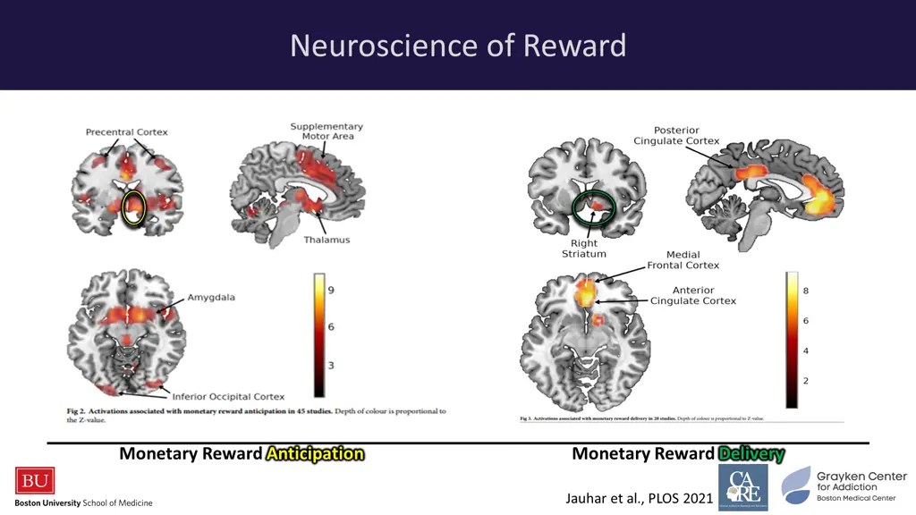 neuroscience of reward