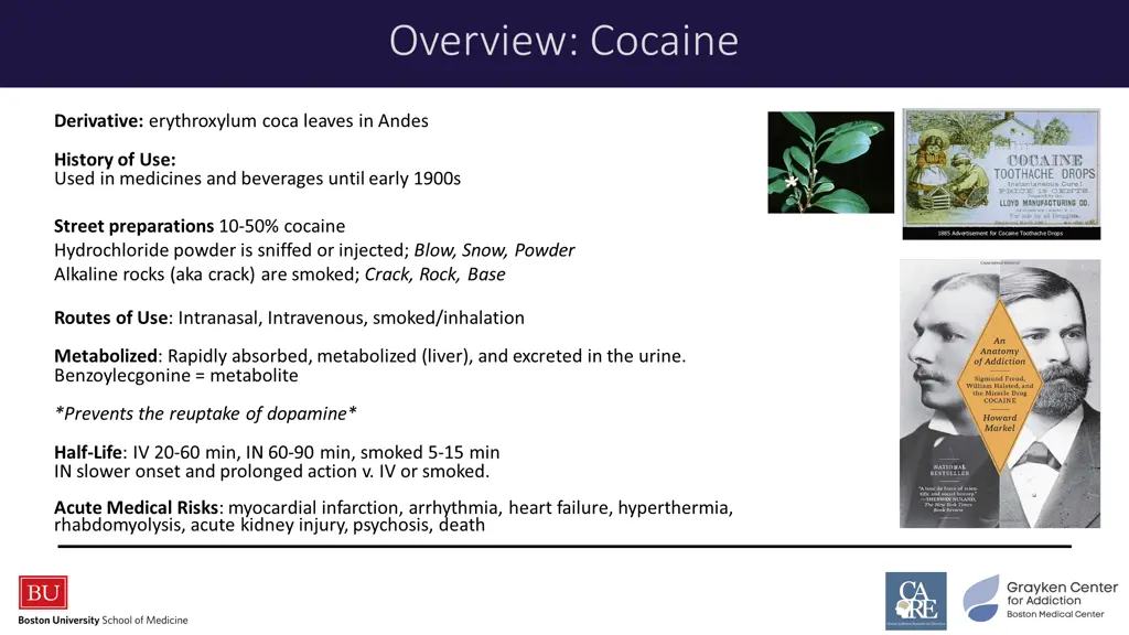 overview cocaine