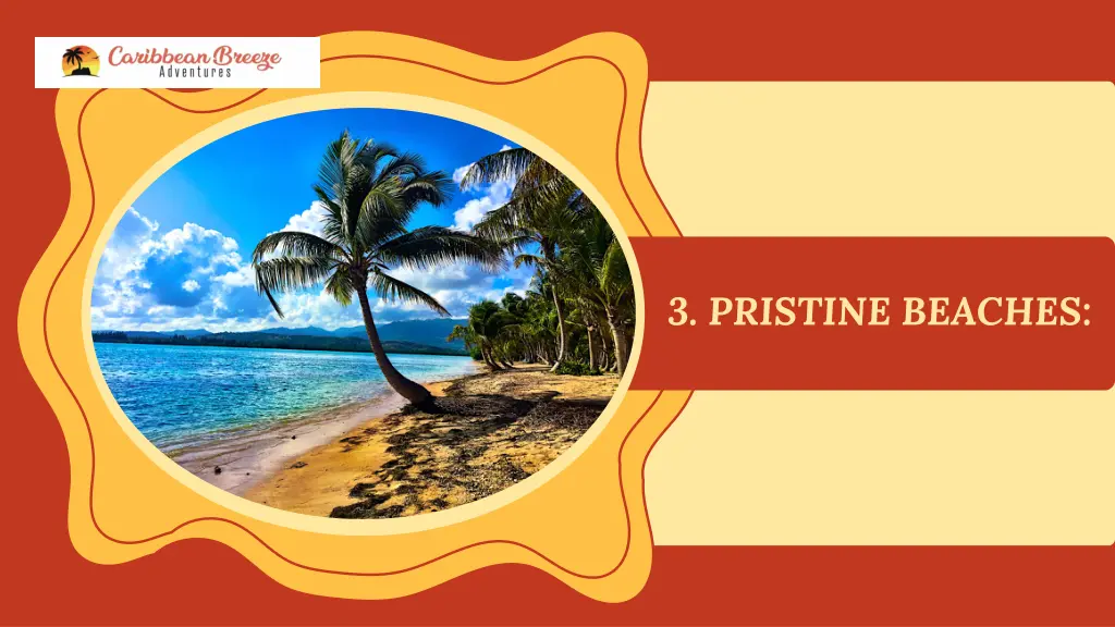 3 pristine beaches