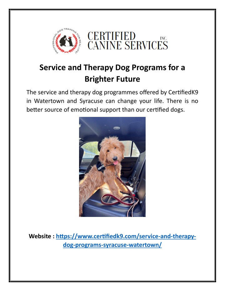 service and therapy dog programs for a brighter