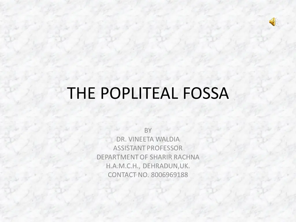 the popliteal fossa