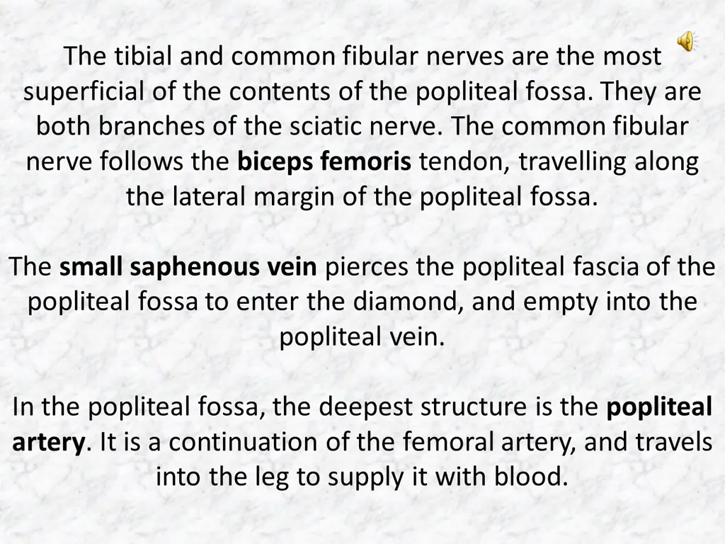 the tibial and common fibular nerves are the most