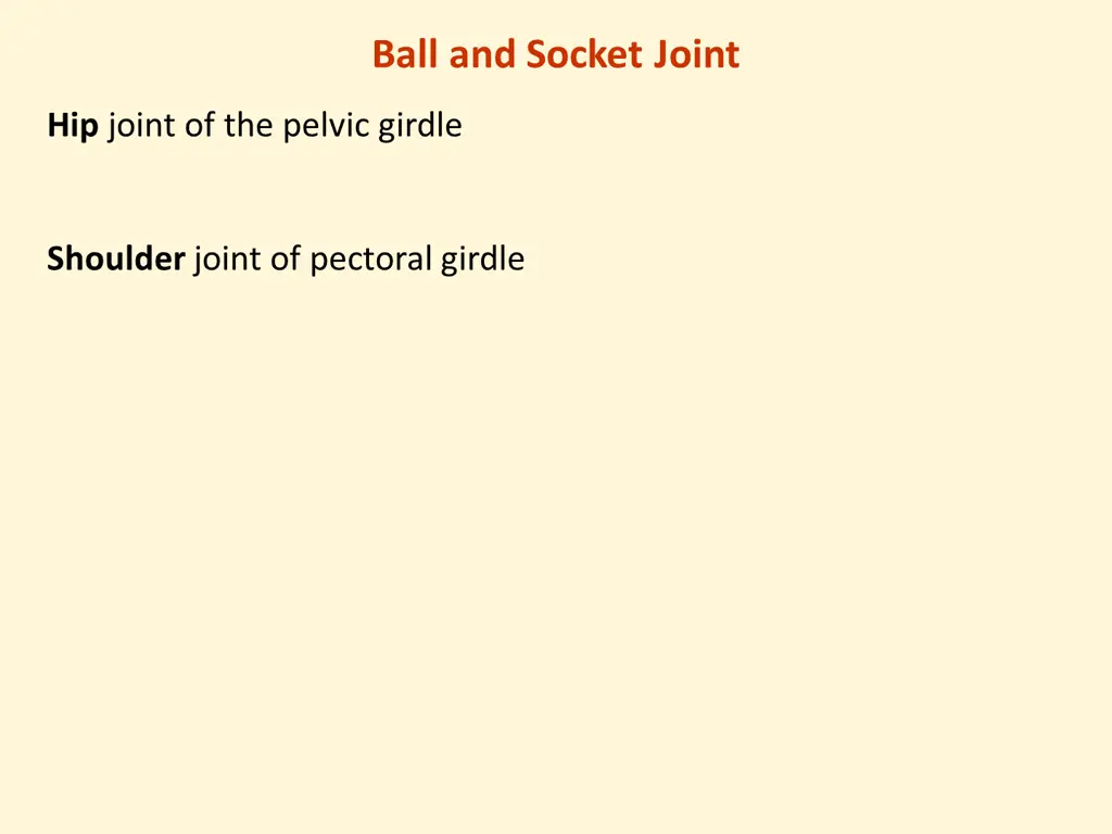 ball and socket joint
