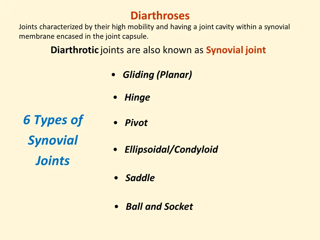diarthroses