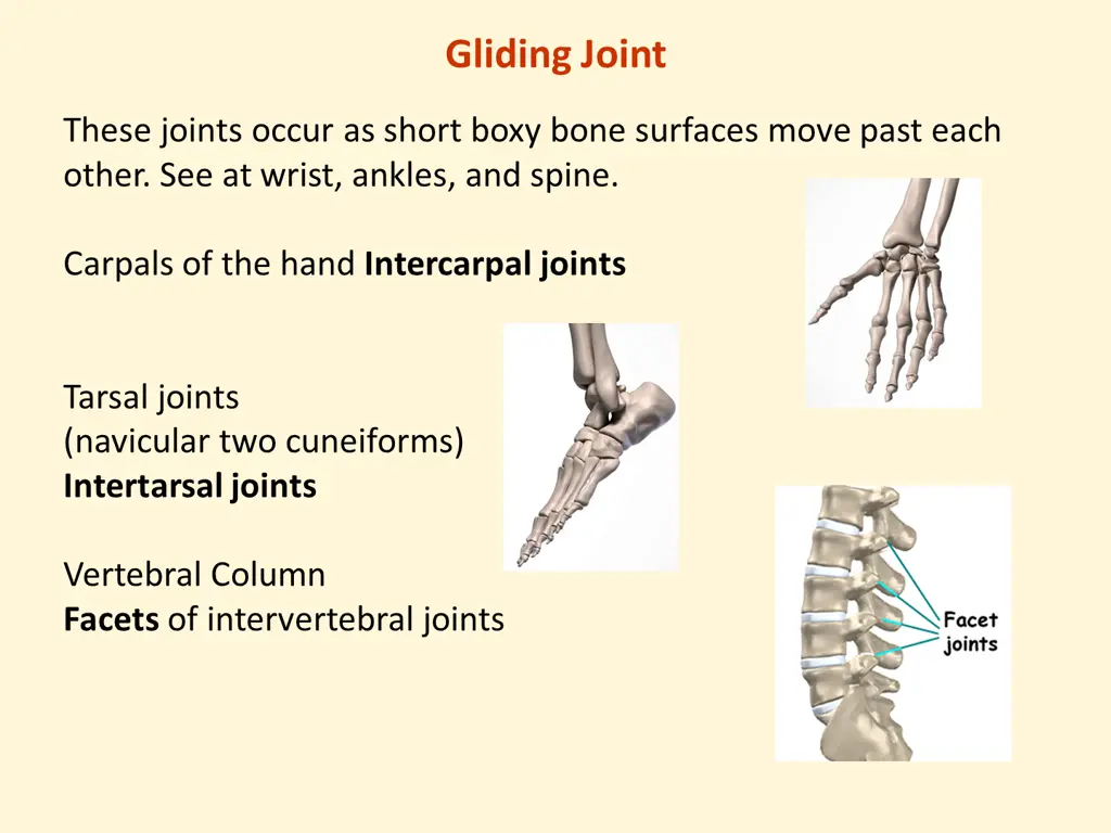 gliding joint