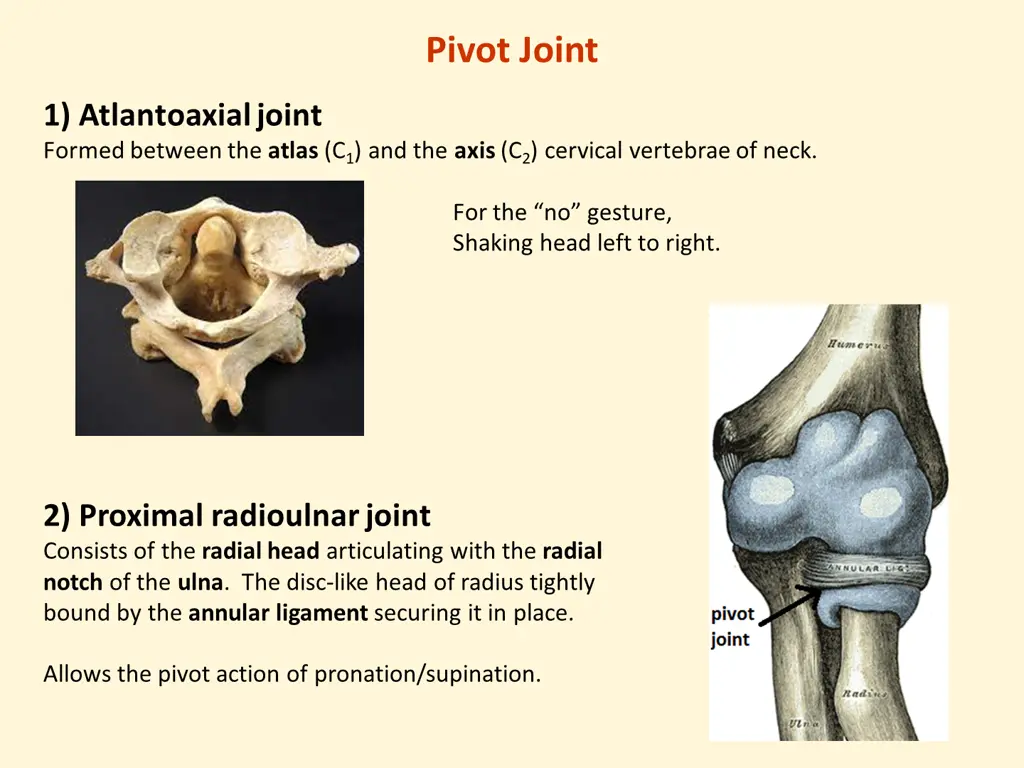 pivot joint