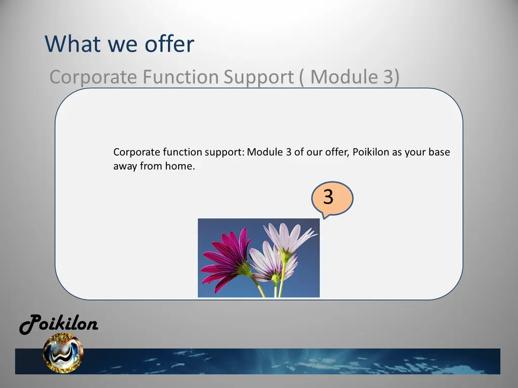what we offer corporate function support module 3