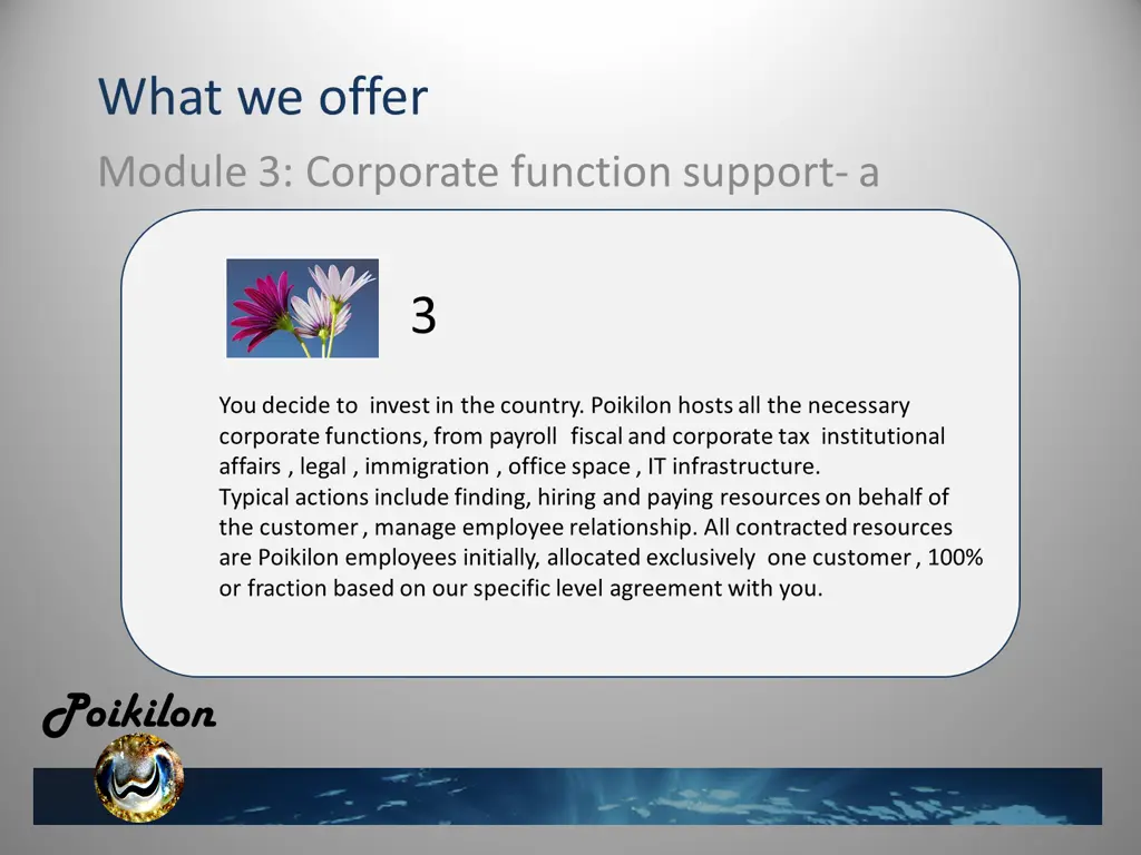 what we offer module 3 corporate function support