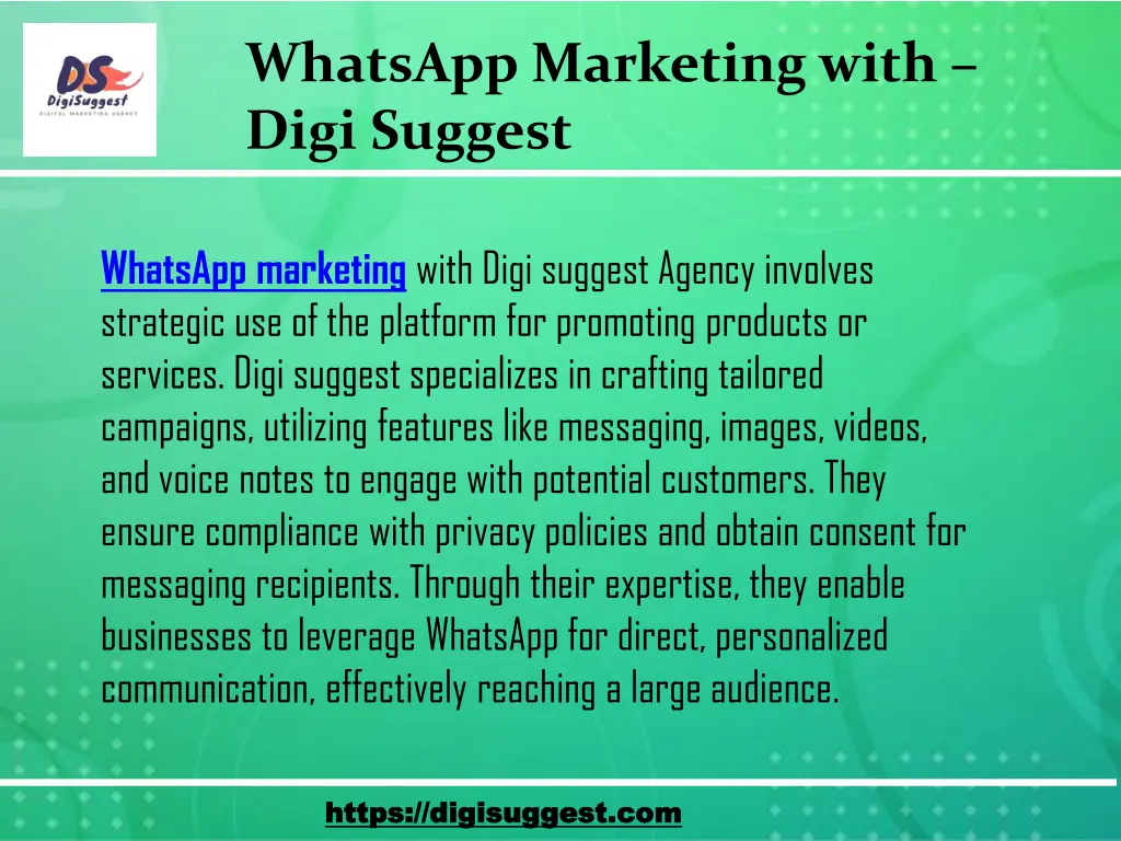 whatsapp marketing with digi suggest