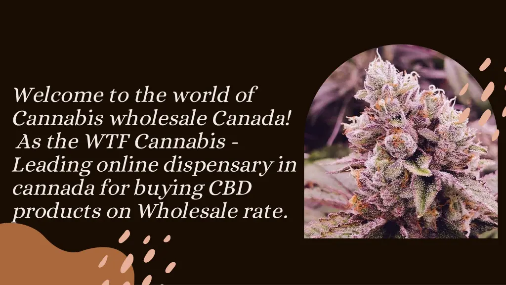 welcome to the world of cannabis wholesale canada