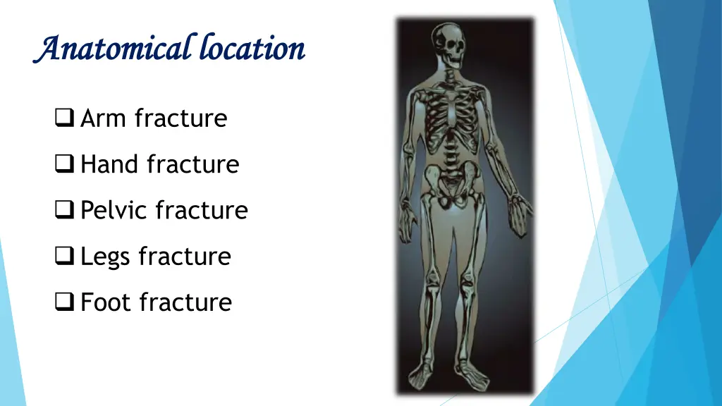 anatomical anatomical location 1