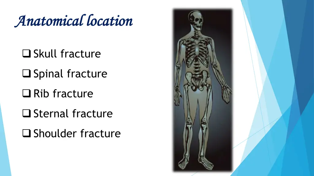 anatomical anatomical location