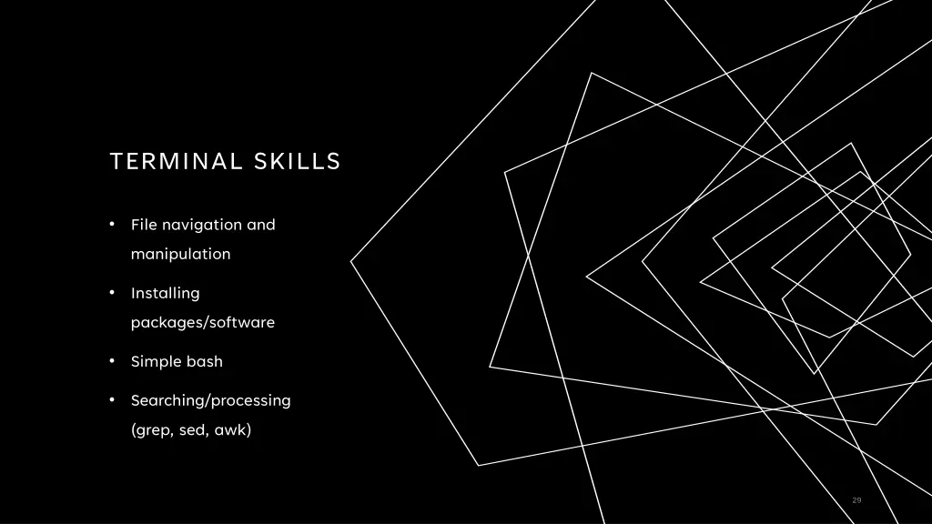 terminal skills