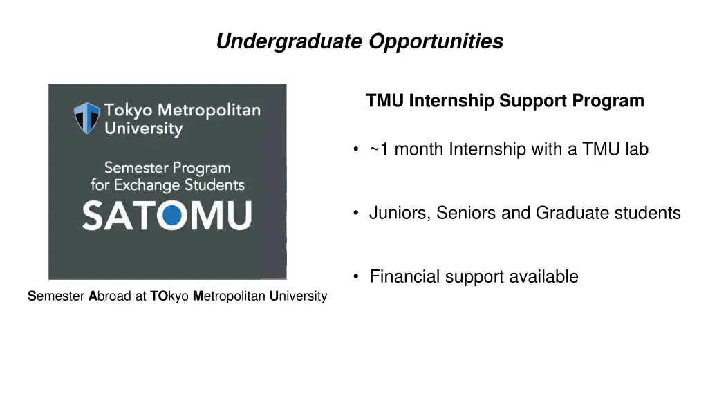 undergraduate opportunities