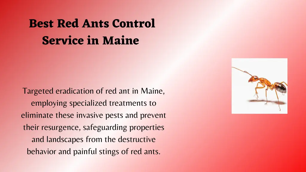 best red ants control service in maine