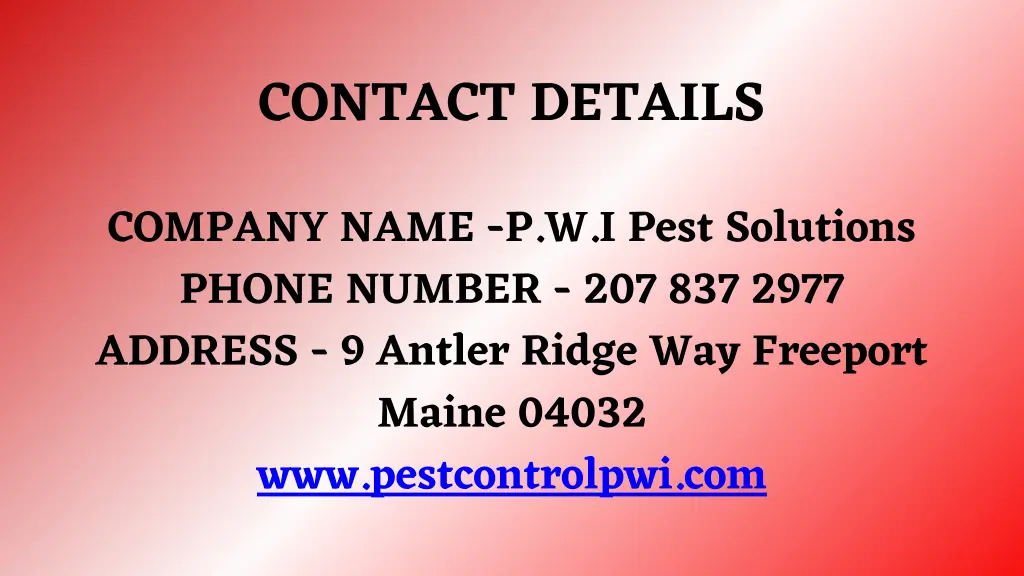 contact details