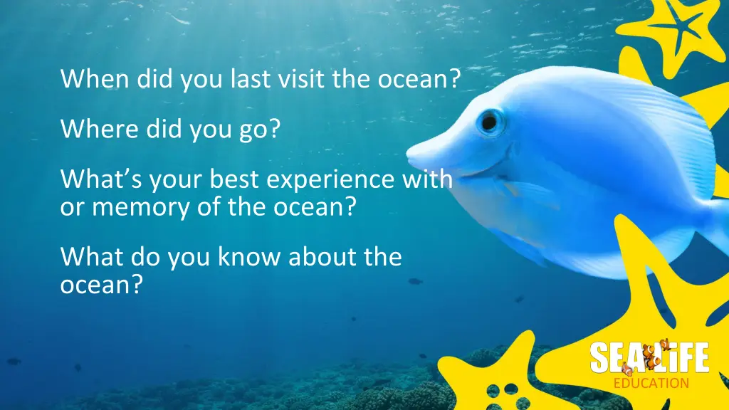 when did you last visit the ocean