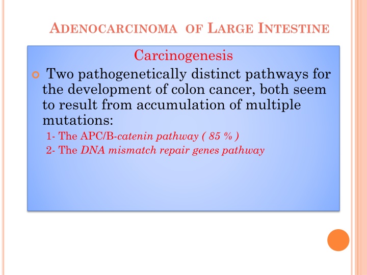 a denocarcinoma of l arge i ntestine