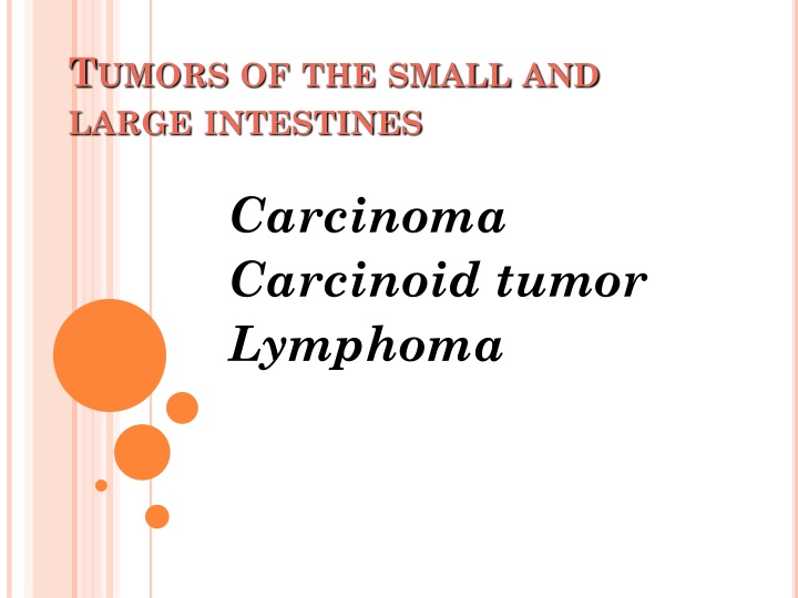 t umors of the small and large intestines