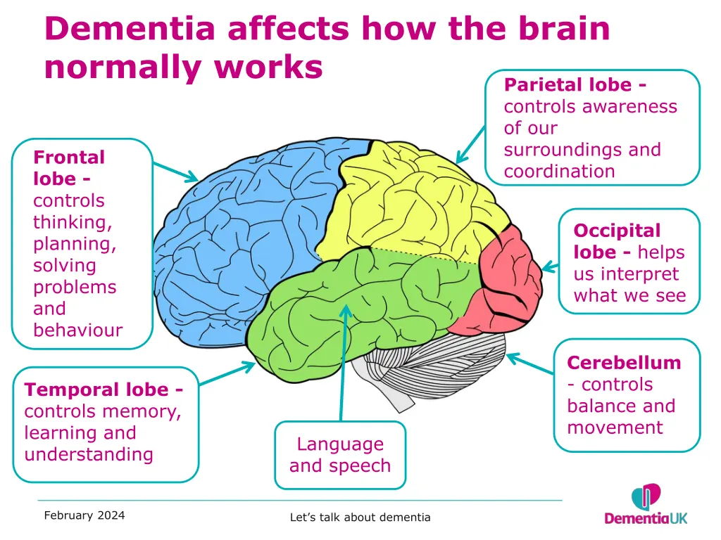 dementia affects how the brain normally works